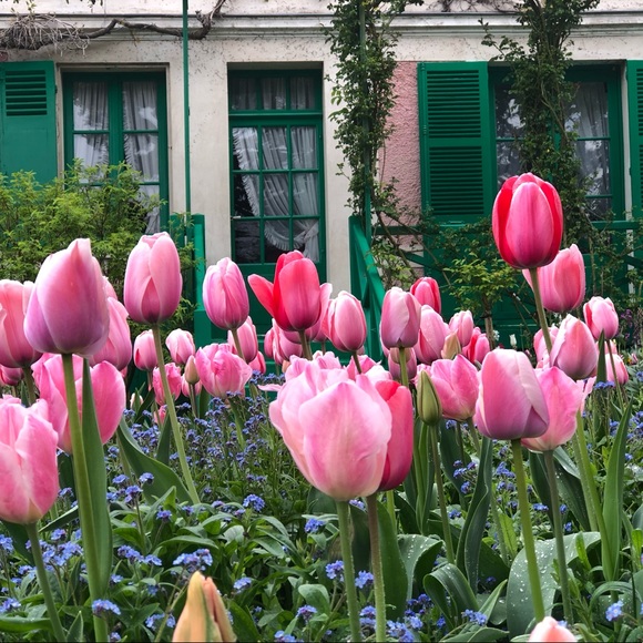 Meet your Posher, artlived - Picture 6 of 13